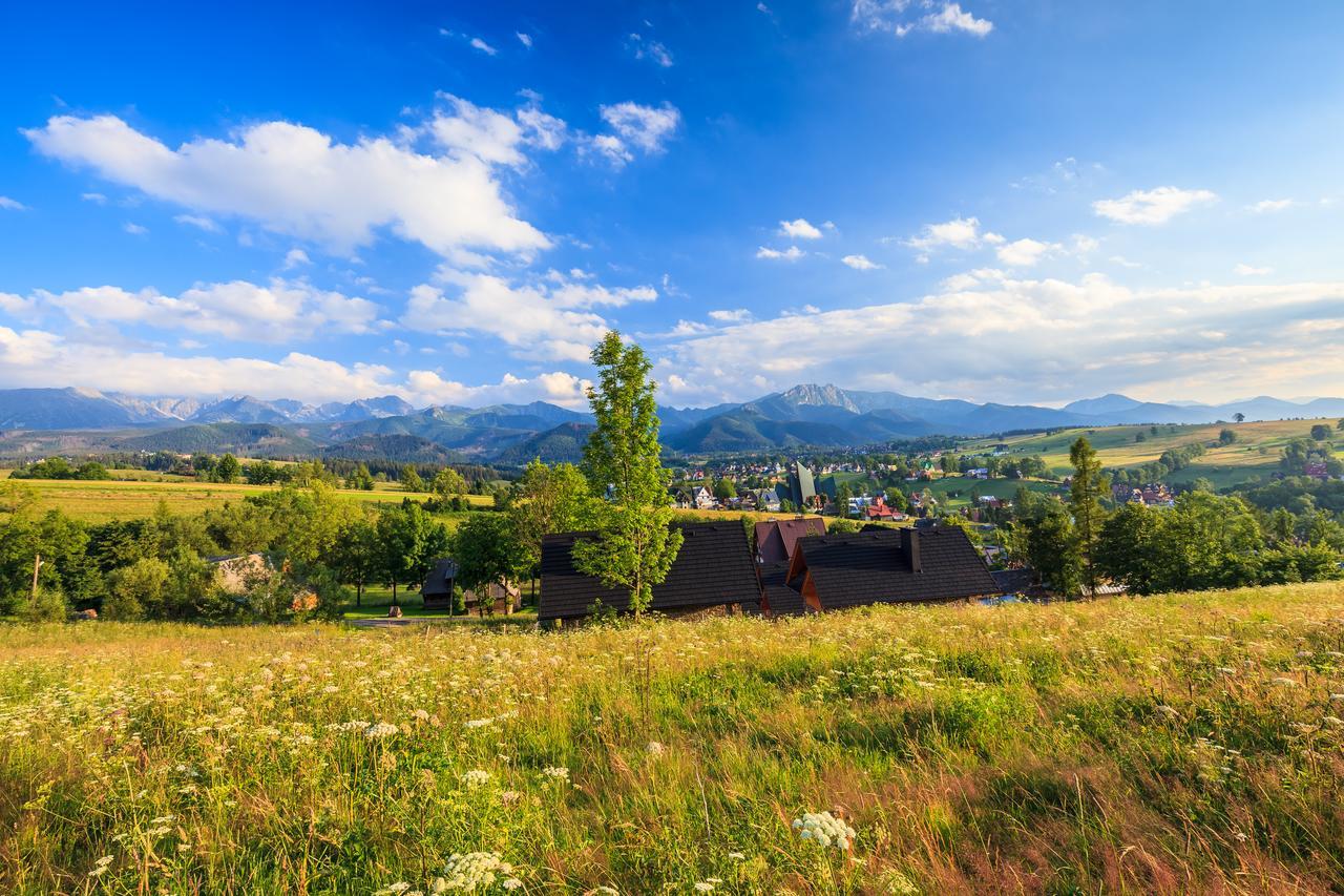 Domki Tatrzanski Ogrod Regional Houses Zakopane Ngoại thất bức ảnh