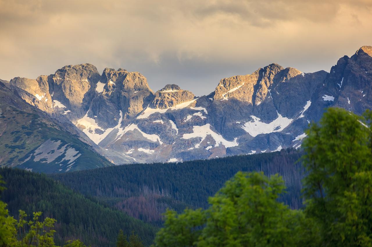 Domki Tatrzanski Ogrod Regional Houses Zakopane Ngoại thất bức ảnh