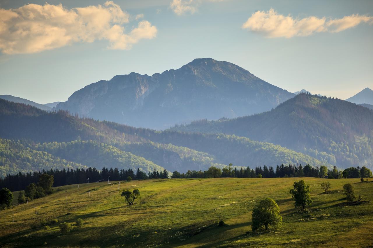 Domki Tatrzanski Ogrod Regional Houses Zakopane Ngoại thất bức ảnh
