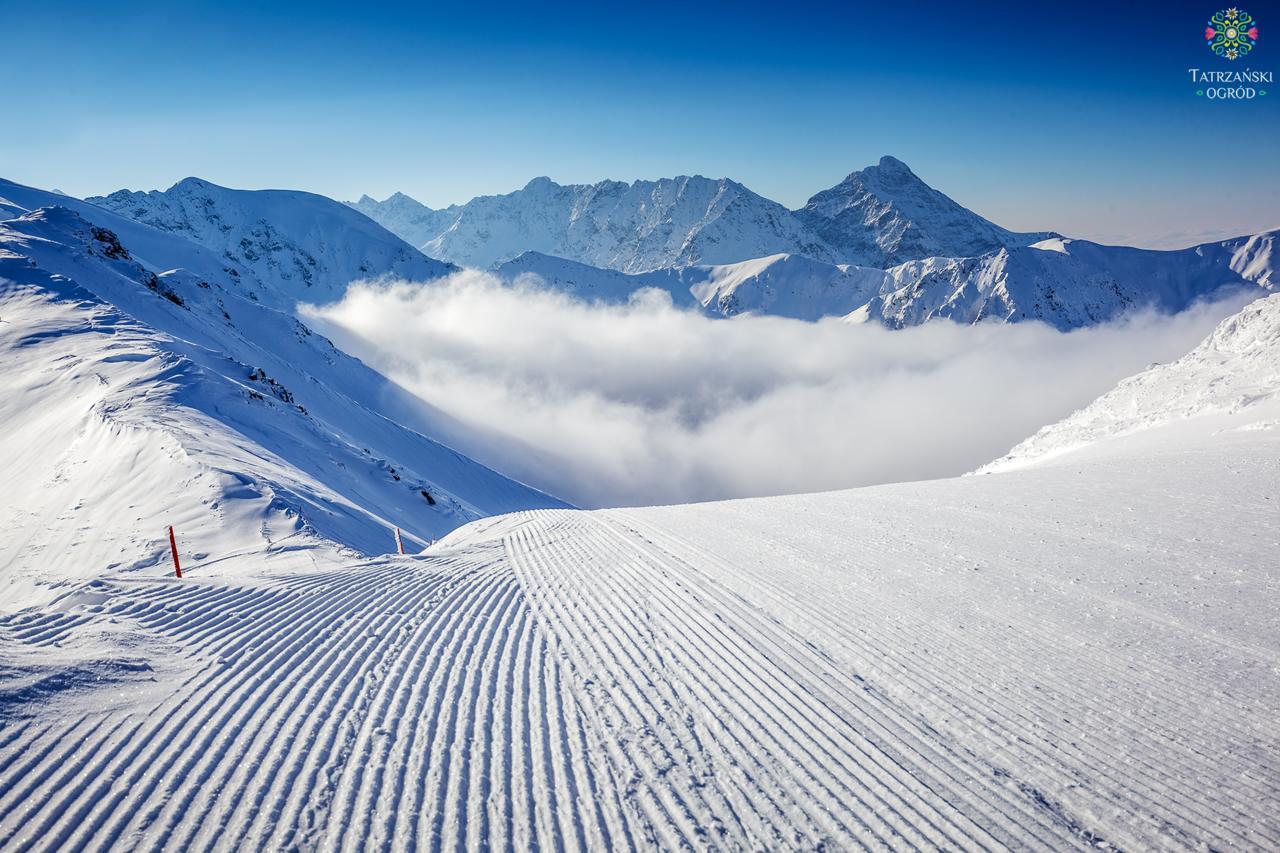 Domki Tatrzanski Ogrod Regional Houses Zakopane Ngoại thất bức ảnh